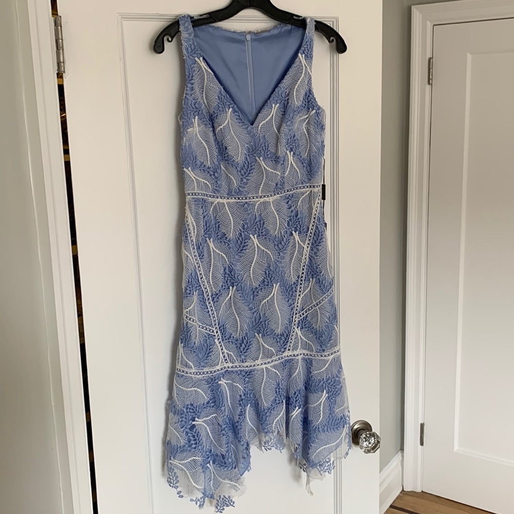 Blue and white lacy Elie Tahiti dress